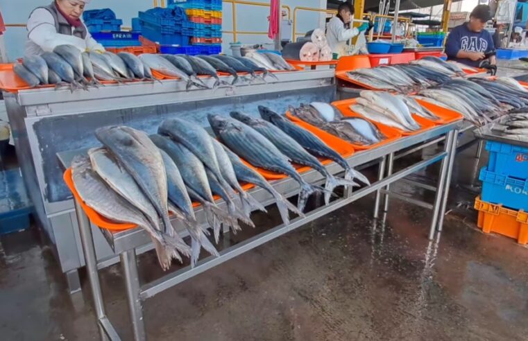 FOTO HOY LUNES 24 DE FEBRERO