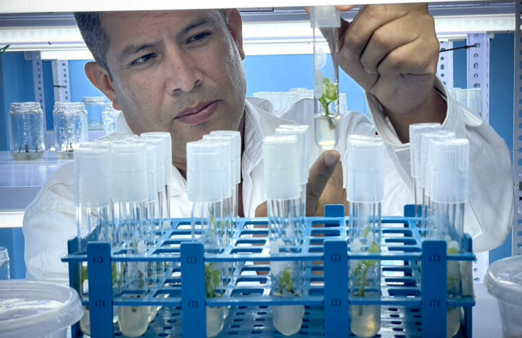 Concytec impulsa vinculación entre la academia y la industria en regiones