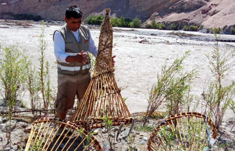 En operativos incautan y destruyen más de 70 trampas para pescar camarón