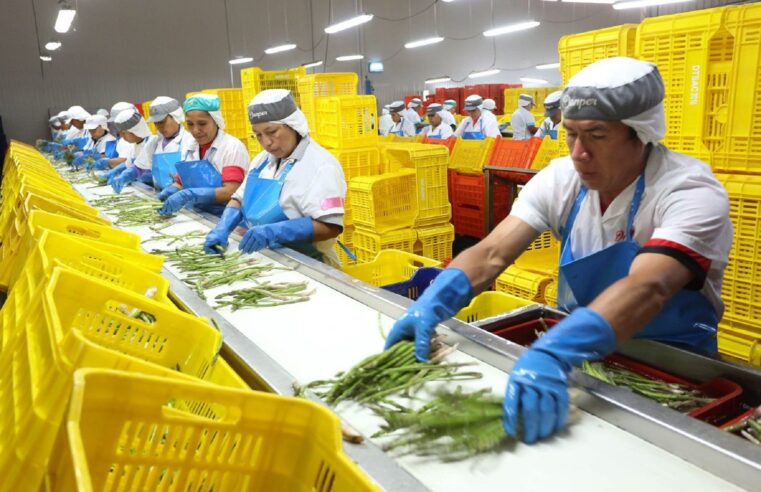 Número de empresas exportadoras peruanas creció 6.8% en 2024