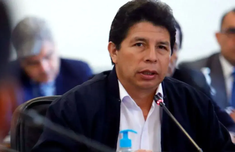 Castillo insiste en seguir proceso en su contra bajo vigilancia electrónica