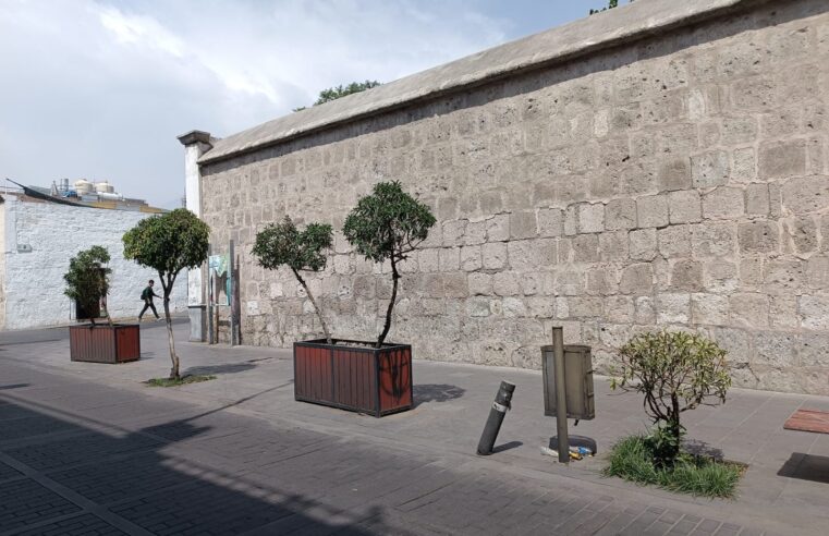 FOTO DE HOY MARTES 04 DE FEBRERO