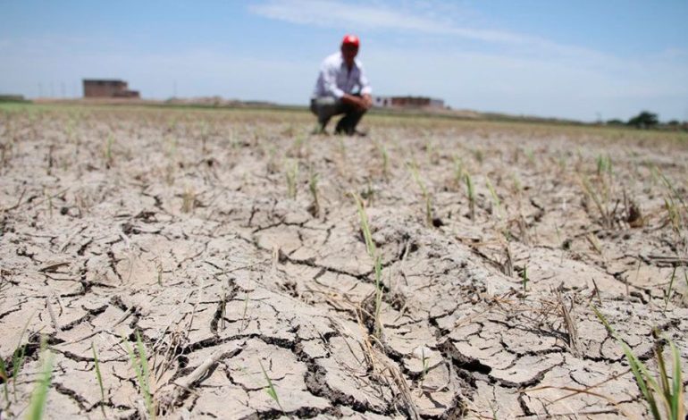Pérdidas irrecuperables por agricultura sin planificación