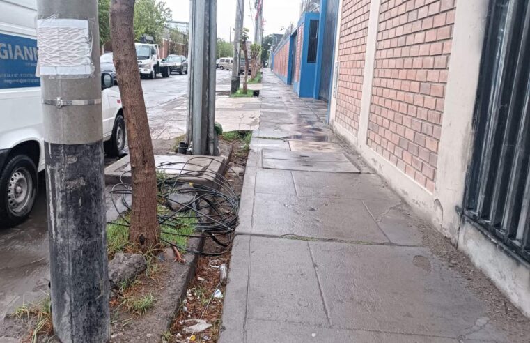 FOTO DE HOY SABADO 15 DE FEBRERO