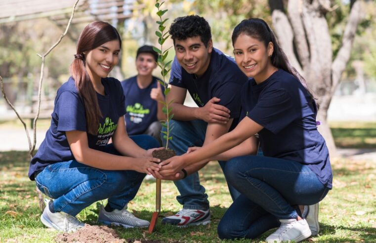 Más de 641 mil personas potencian sus negocios con Caja Arequipa