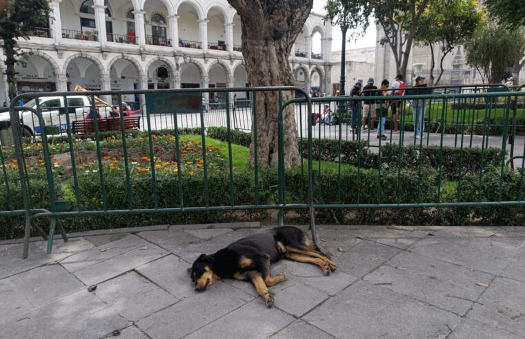 FOTO DE HOY DOMINGO 09 DE MARZO