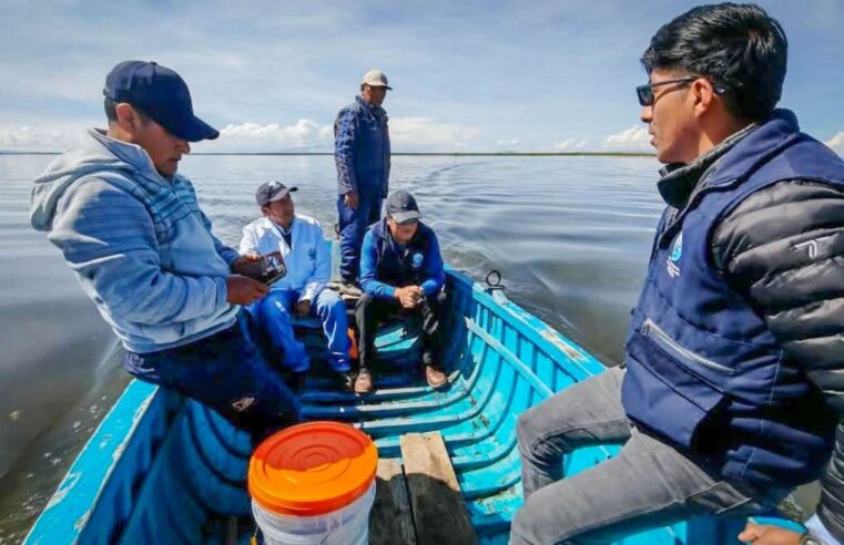 Prohíben crianza de pez carpa en lago Titicaca para evitar daños en ecosistema