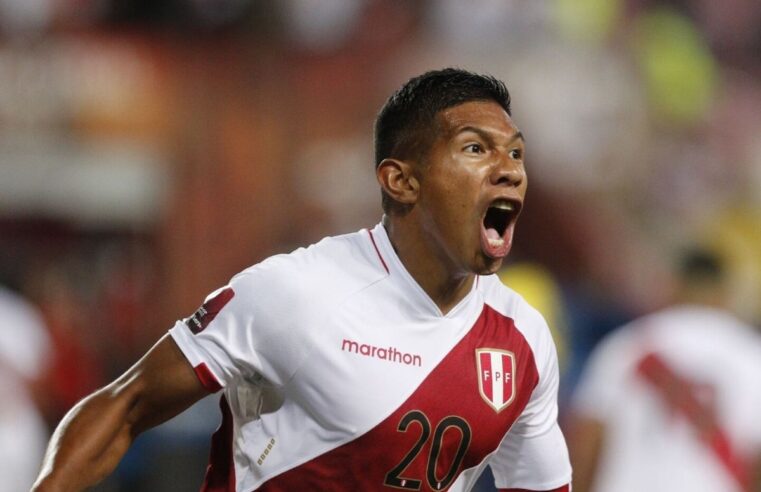 Ibáñez busca que la gente positiva sume en la selección