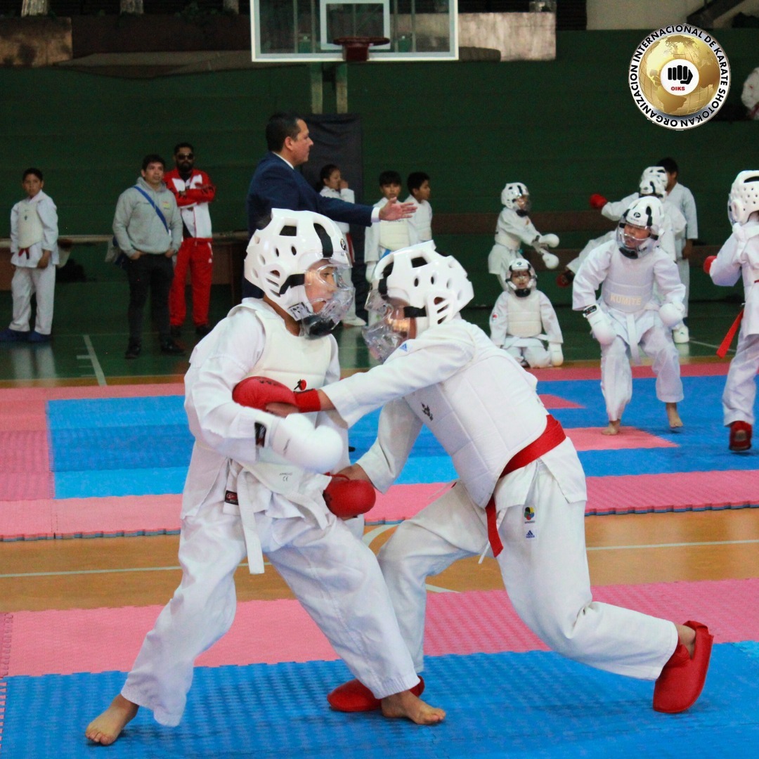 Más de 600 en torneo internacional de karate 2025