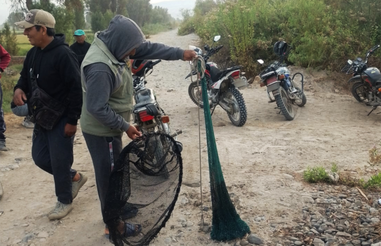 Intensifican operativos contra la pesca ilegal de camarón