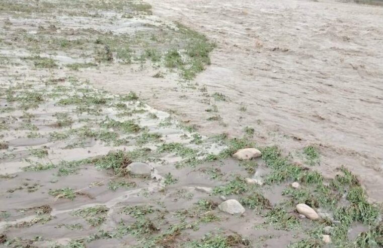 Río Majes alcanza nivel crítico y causa estragos en la agricultura y vías