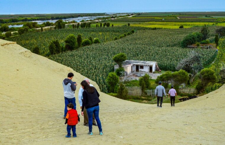 Buscan incentivar consumo del pisco en Arequipa