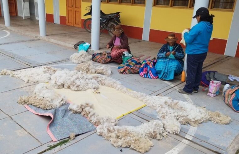 Artesanas aprenden a clasificar la fibra de alpaca en Tambo La Quiña