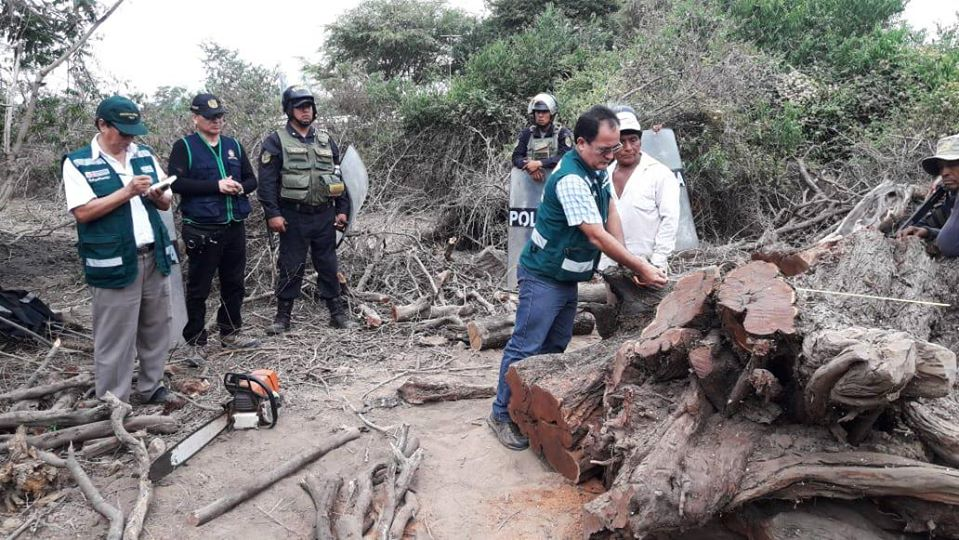 Conforman mesa técnica para proteger flora y fauna silvestre