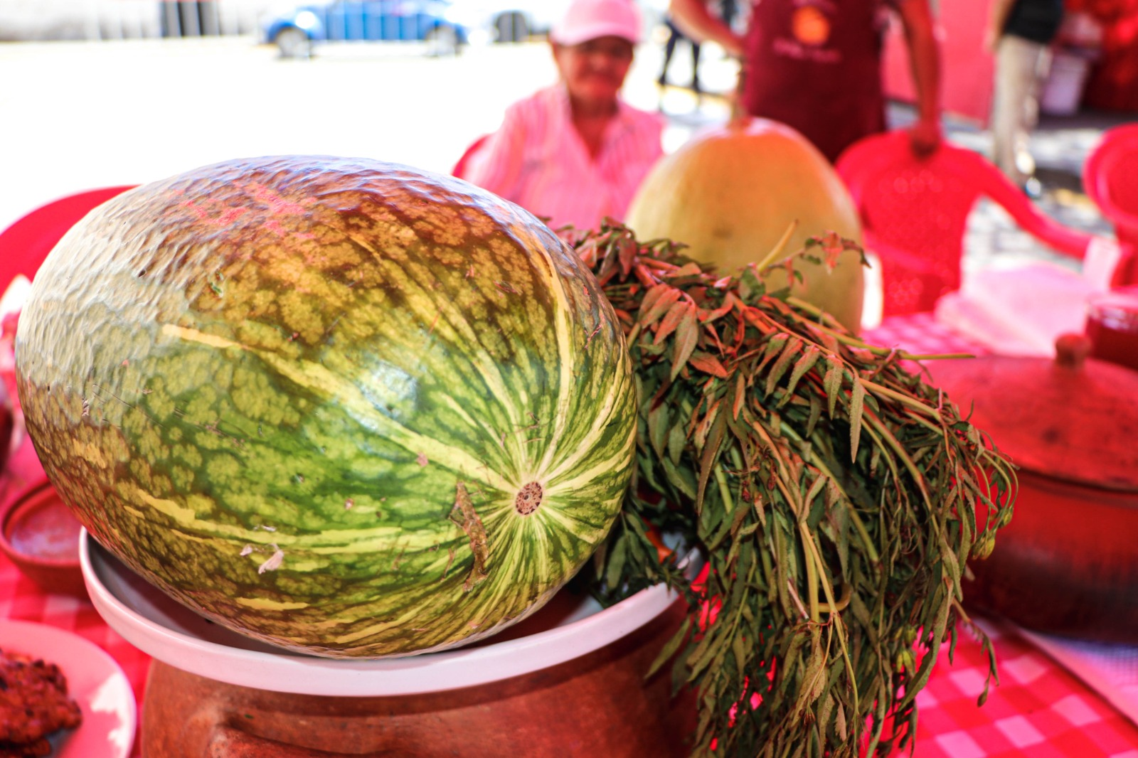 Impulsan el lacayote como plato bandera de Arequipa