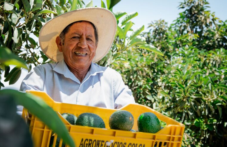 Midagri impulsa proyectos productivos, financiamiento y más agua para riego