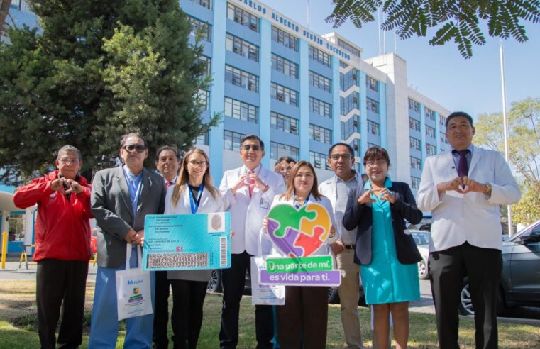 Trasplantes renales devuelven la esperanza a más de 400 pacientes