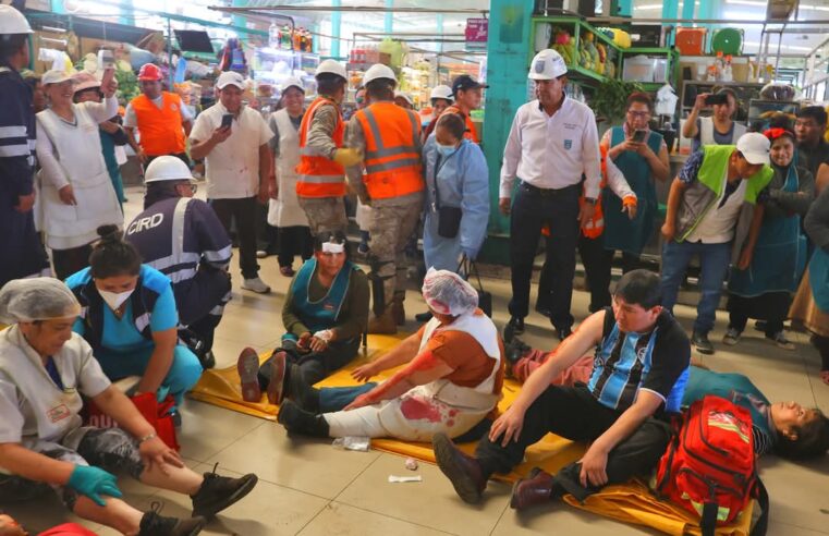 Alto Selva Alegre y Paucarpata los distritos más afectados por sismo