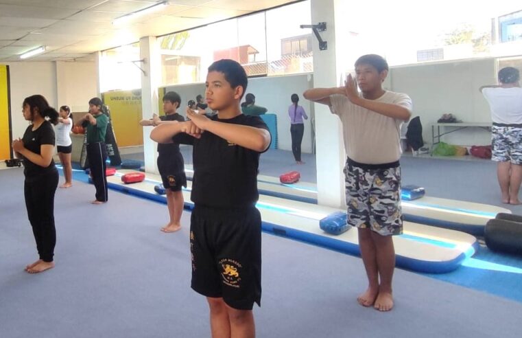 Impulsan la práctica de Kung Fu Wushu en colegios de Arequipa