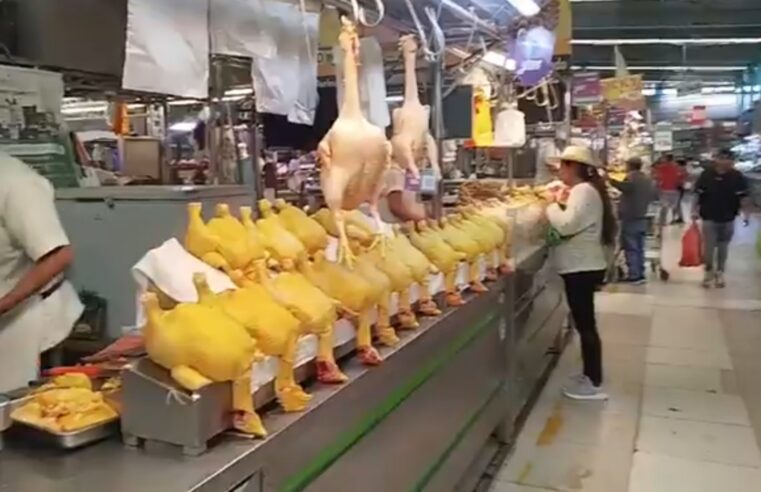 FOTO DE HOY DOMINGO 11 DE MAYO