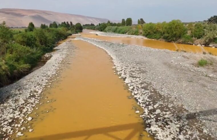 Juntas de Usuarios de Islay cuestionan inacción del GRA ante contaminación del Tambo