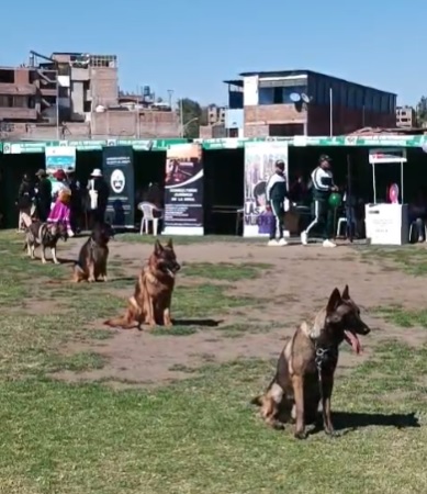 FOTO DE HOY LUNES 19 DE MAYO