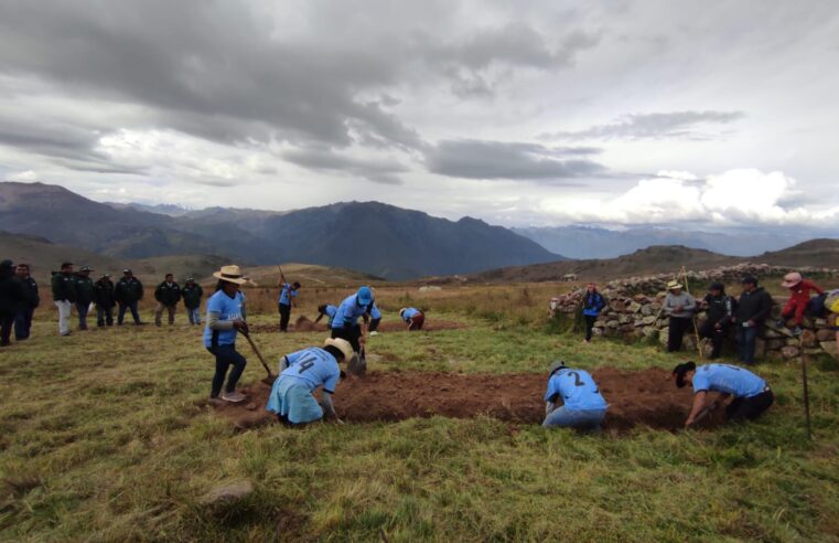 Observaciones retrasan construcción de cochas en Arequipa