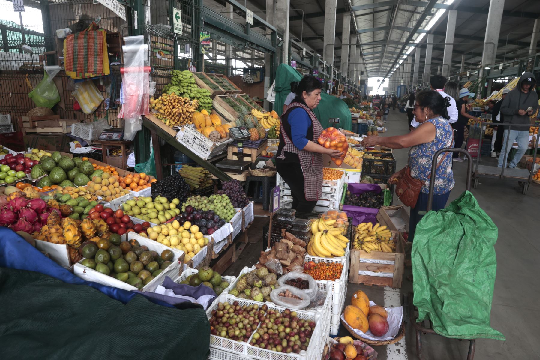 Solo 2 de cada 10 hogares cubren la canasta familiar