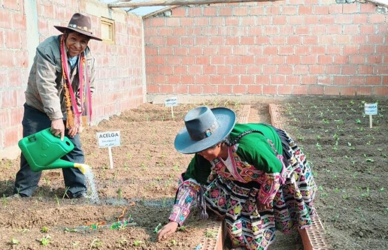 Ejecutan medidas para mitigar efecto de heladas en zonas vulnerables