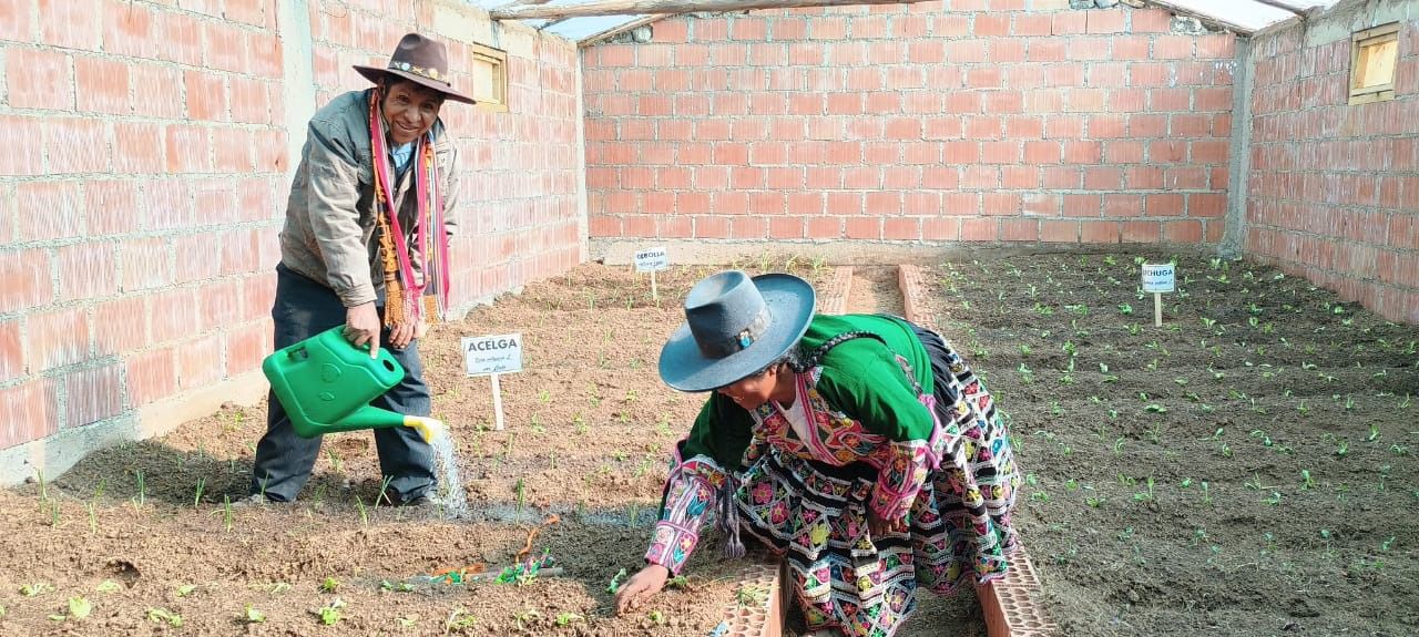 Ejecutan medidas para mitigar efecto de heladas en zonas vulnerables