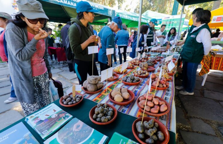 Destacaron 200 variedades de papa en festival