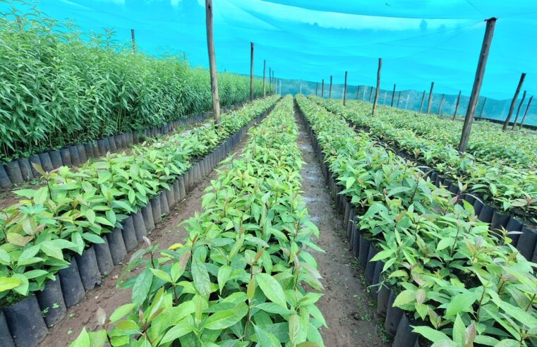 INIA impulsa productividad de pequeños y medianos agricultores del país