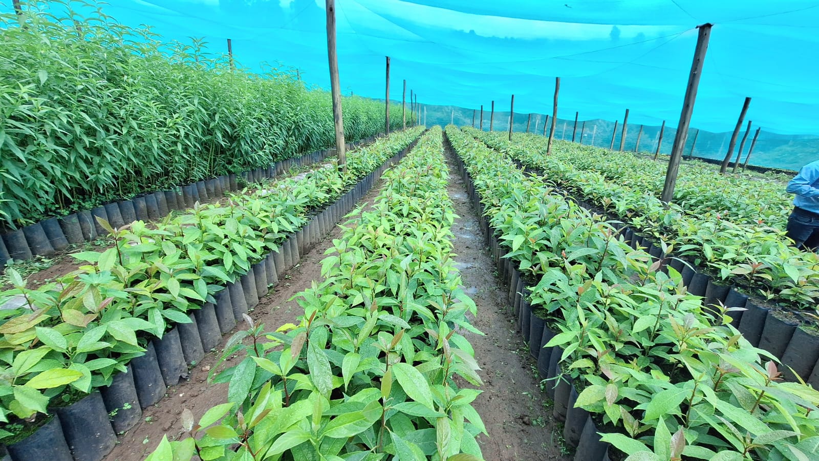 INIA impulsa productividad de pequeños y medianos agricultores del país