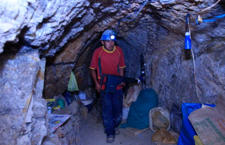 Promulgan ley que amplía el Reinfo hasta fin de año