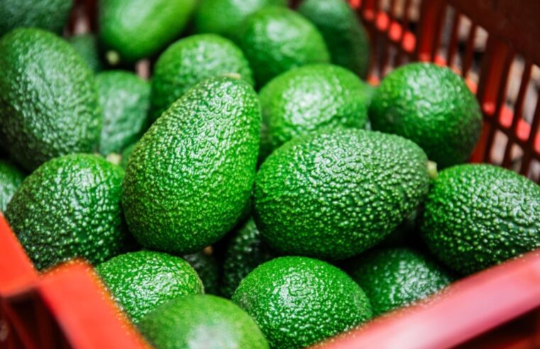 Agroexportaciones no tradicionales del Perú crecieron 46.5 % en abril