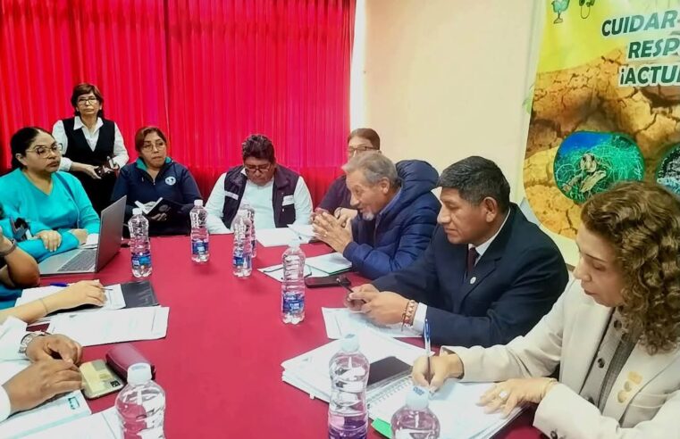 UGEL Norte aprueba clases virtuales para escolares sospechosos de padecer varicela