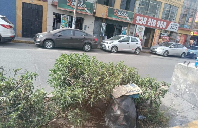 FOTO DE HOY DOMINGO 15 DE JUNIO