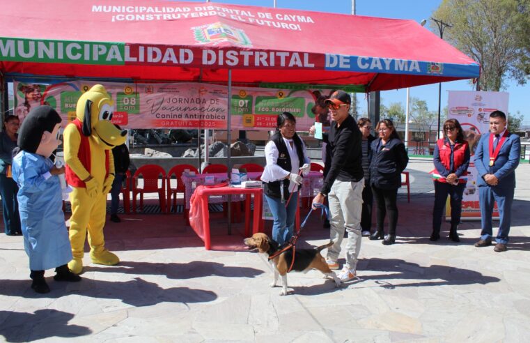 Iniciarán jornada de vacunación antirrábica gratuita en Cayma