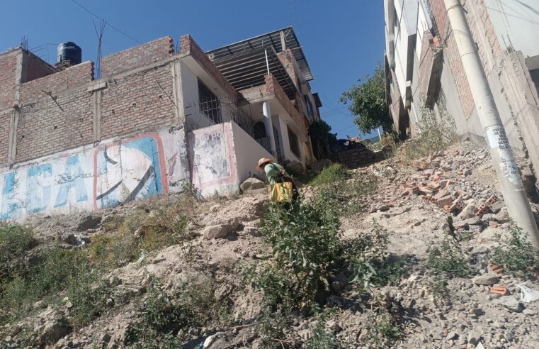 FOTO DE HOY MIERCOLES 04 DE JUNIO