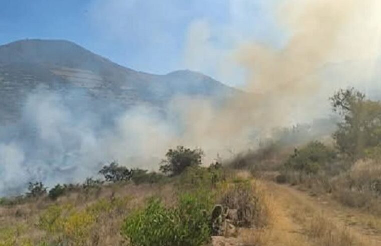 Incendio arrasa con zonas naturales y amenaza a la Cueva de Pikimachay