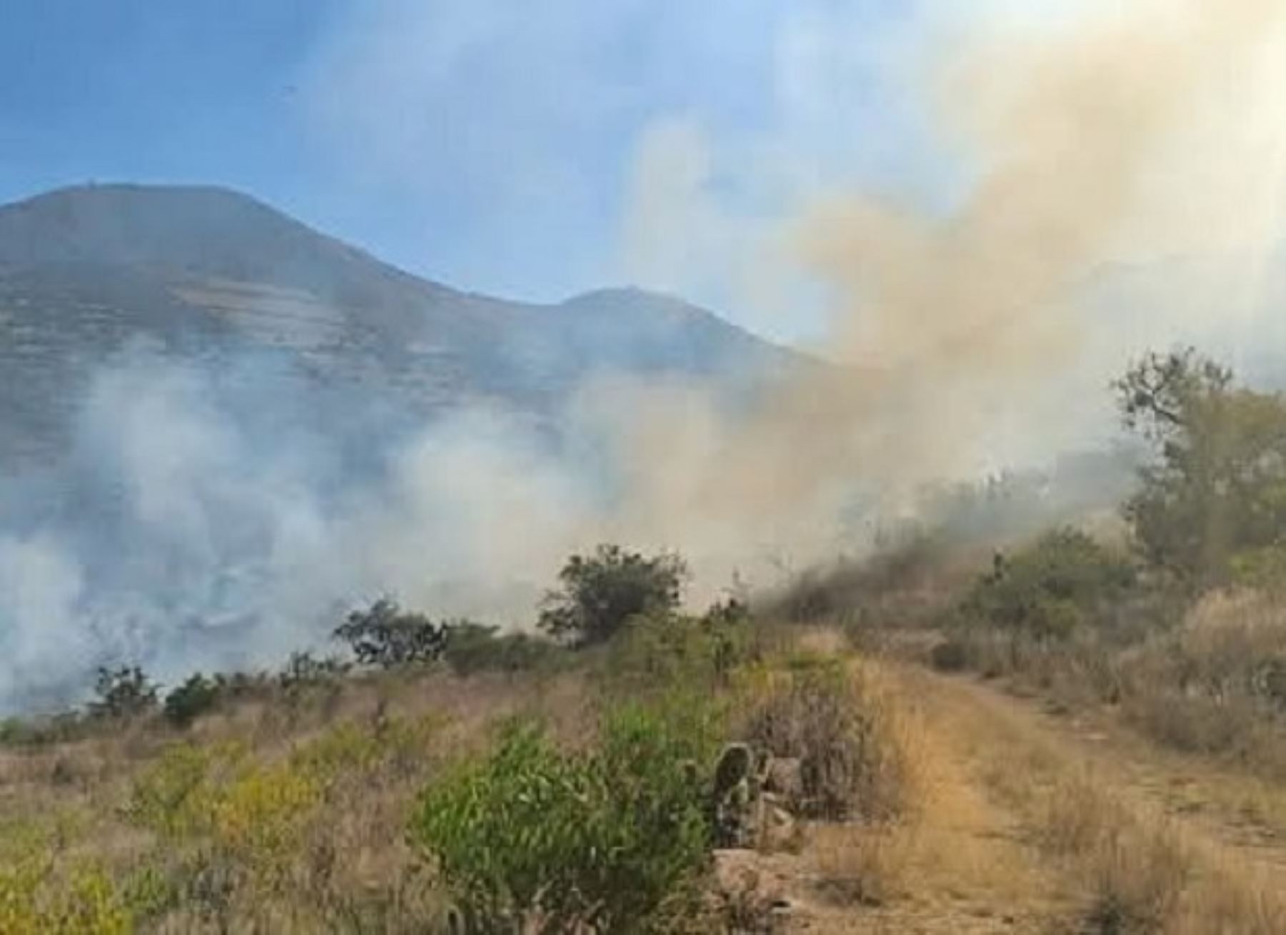 Incendio arrasa con zonas naturales y amenaza a la Cueva de Pikimachay