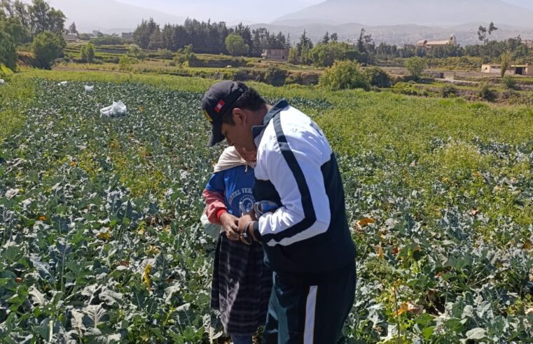 FOTO DE HOY MIERCOLES 25 DE JUNIO