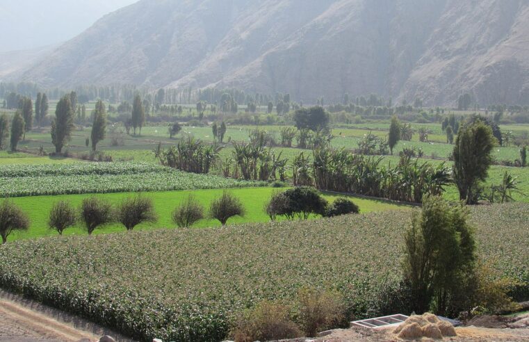DEÁN VALDIVIA POR LA DEFENSA DE ECOSISTEMAS FRÁGILES Y PATRIMONO CULTURAL DE LA NACIÓN