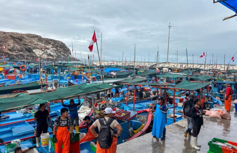 Produce supervisa caletas de Arequipa y exige mejorar condiciones sanitarias