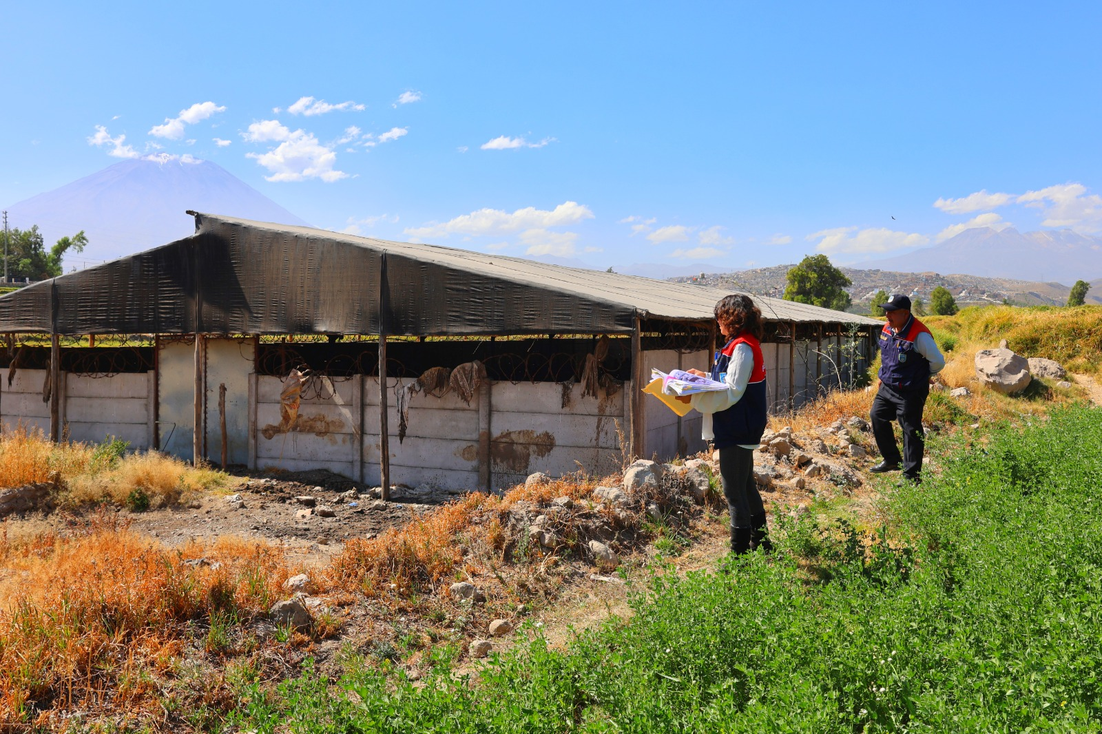 Clausura chanchería Ilegal en Simón Bolívar