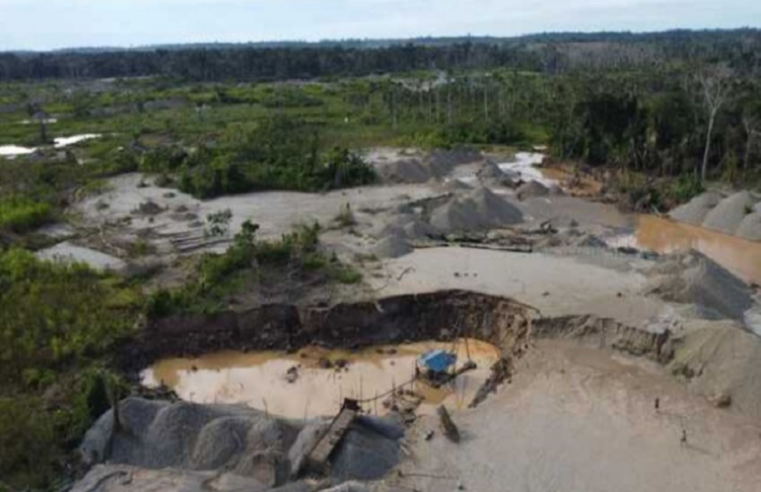 Recuperan suelos contaminados con tecnología