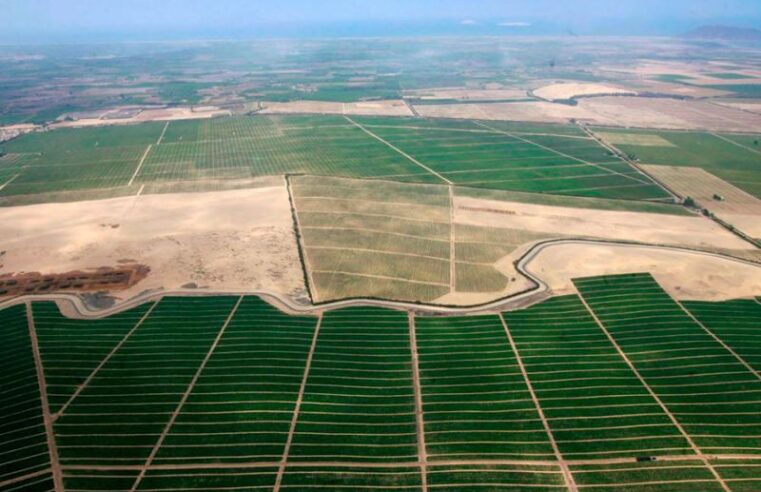 Parceleros de Majes Siguas podrían saldar deuda tras dos décadas