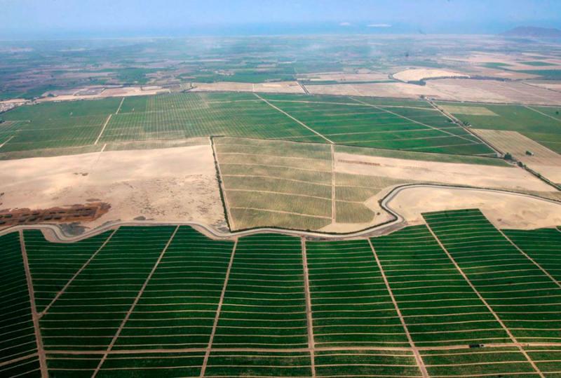 Parceleros de Majes Siguas podrían saldar deuda tras dos décadas