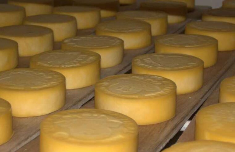 Consumo de queso en Perú alcanzó  las 5 mil 600 toneladas en 2024
