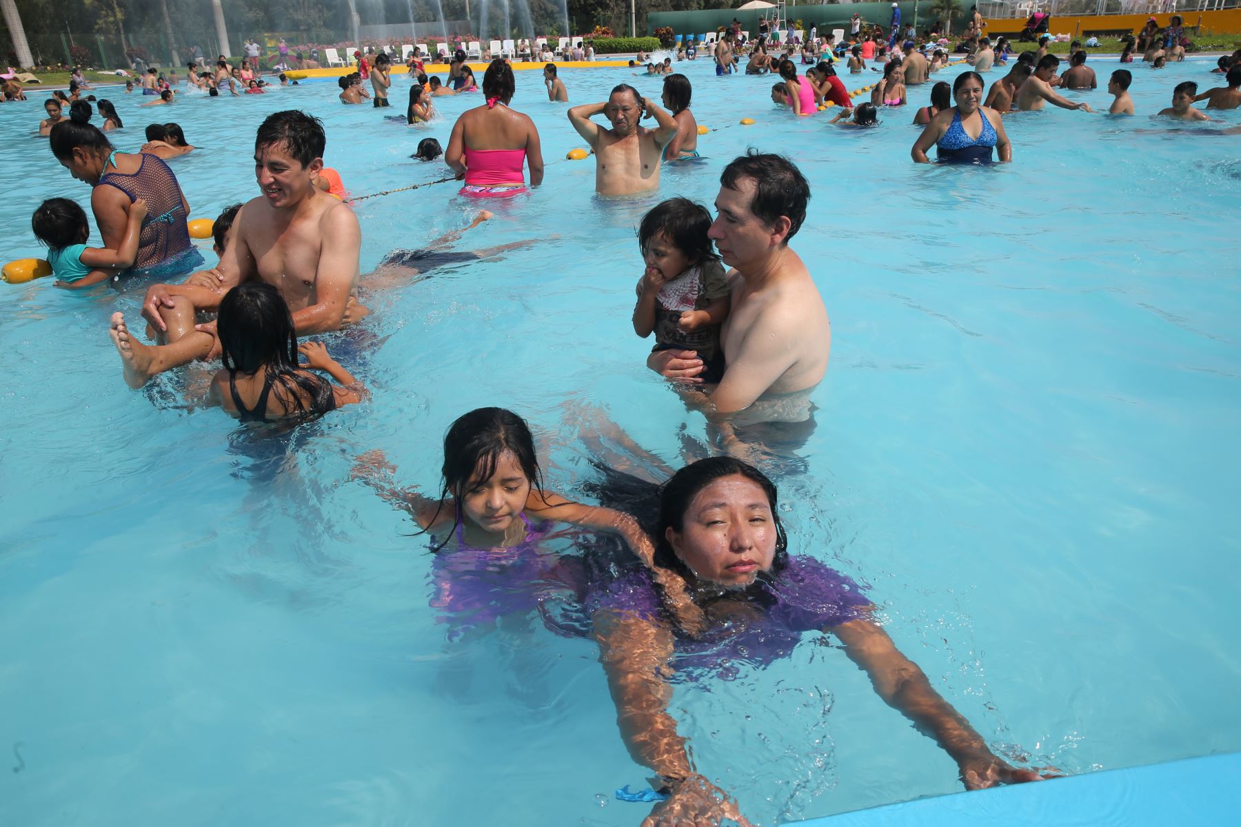 La mayoría de piscinas arequipeñas no cumplen con estándares mínimos de desinfección